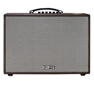 Loa Acnos CS261PU - Kèm 2 mic hát Karaoke - công suất mạnh mẽ