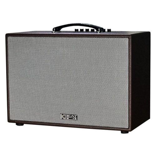 Alternative view of Loa Acnos CS261PU - Kèm 2 mic hát Karaoke - công suất mạnh mẽ