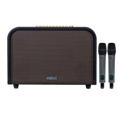 Loa Karaoke Acnos Acoustic 3 - Tặng kèm 2 Mic
