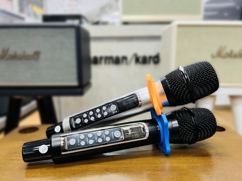 Micro Excelvan Z3 - Mic hát đôi 
